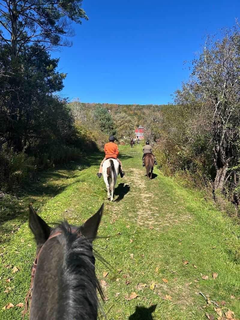 Splashing Hooves At The Brook Crossing