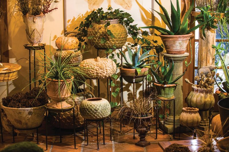 Moss That Turns Clay Into Art