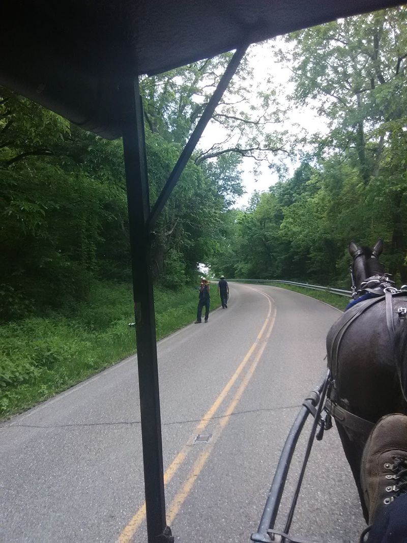 Guided Wagon Tours Through The Settlement