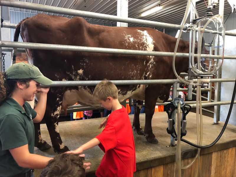 The Dairy Parlor and a First Squeeze
