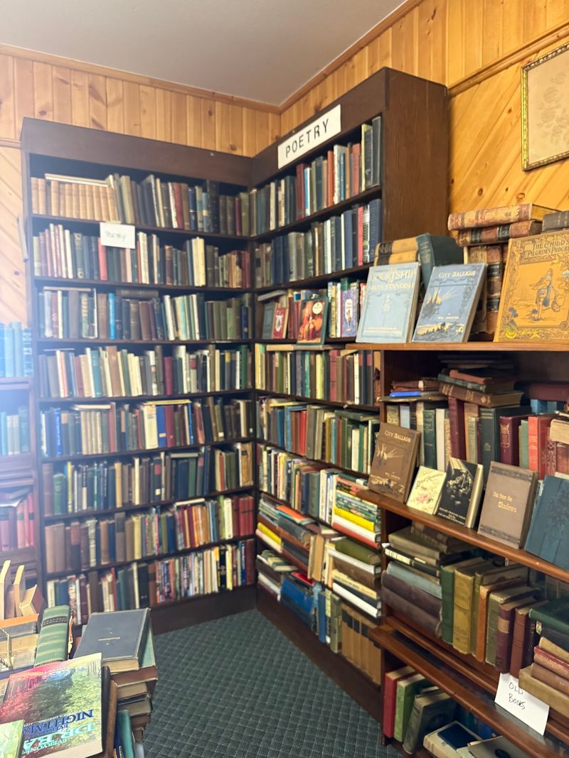 What Kinds Of Books Fill The Shelves