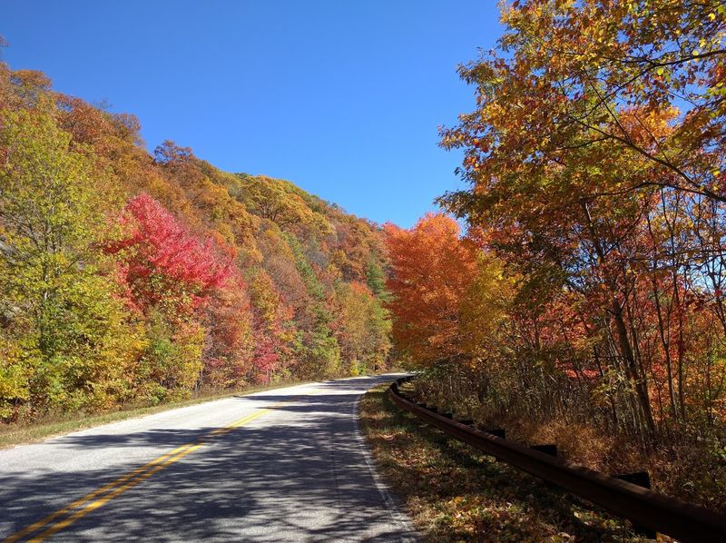 Tellico Plains