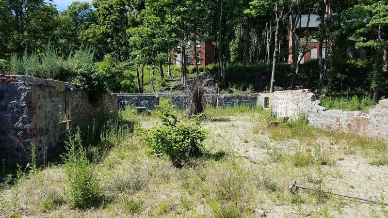 Boston Harbor Islands State Park (Peddocks Island)