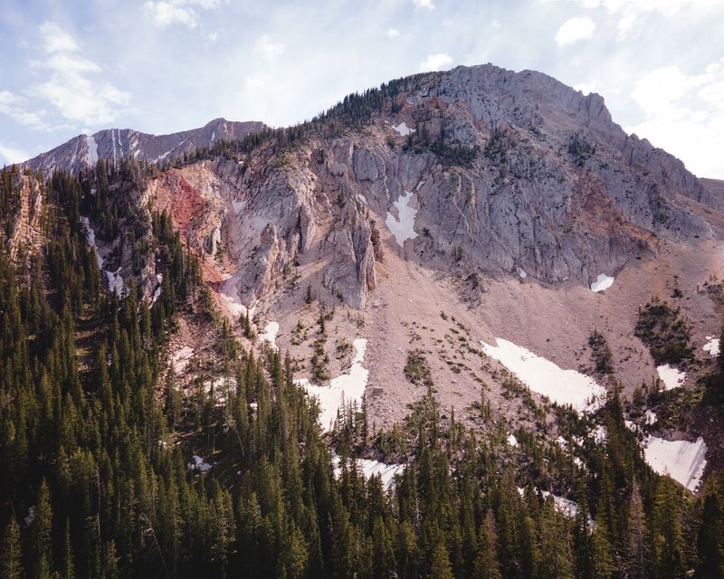 White Shapes On The Cliffs: Mountain Goats