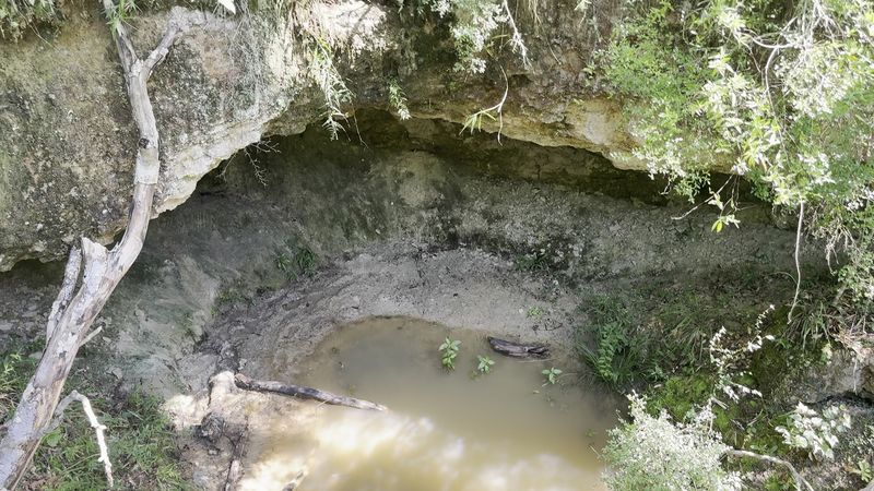 Conservation Efforts To Protect Cave Ecosystems