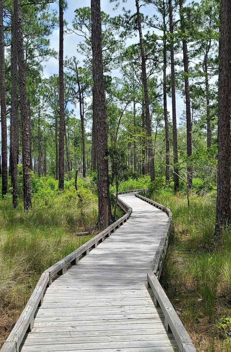Grand Bay National Estuarine Research Reserve - Moss Point