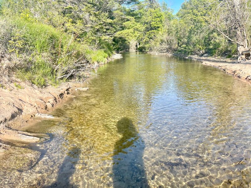 Where Creek Meets Great Lake