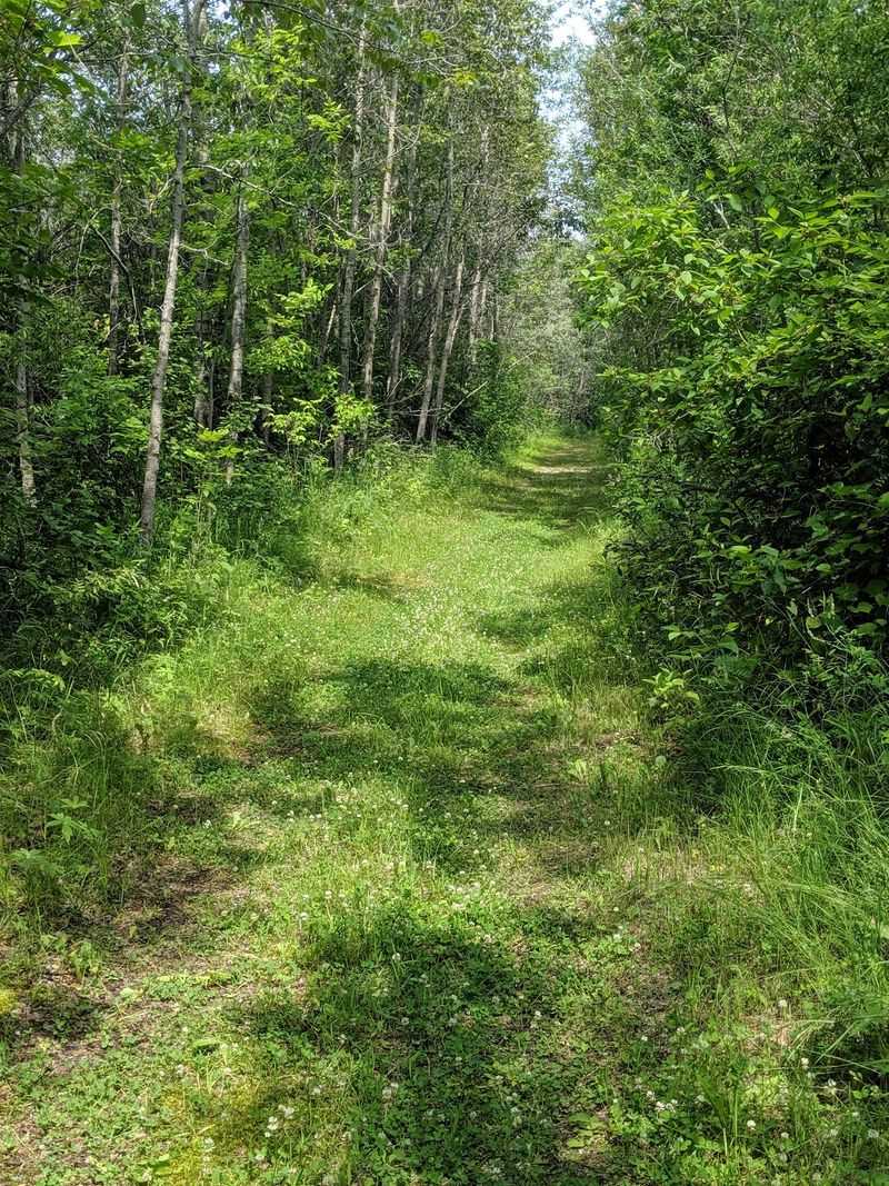 Finding The Park Without Getting Turned Around
