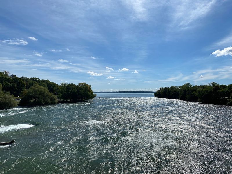 Goat Island