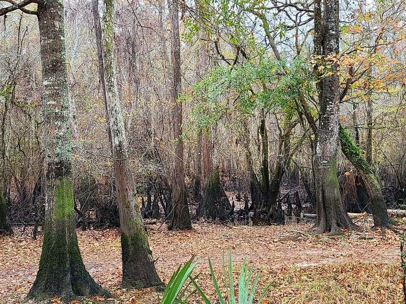 Oliver Bridge Wildlife Management Area