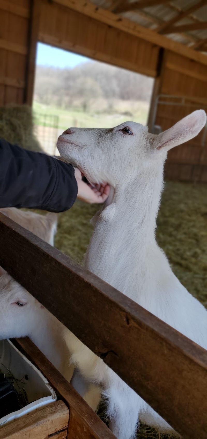 Learning Where Food Actually Comes From