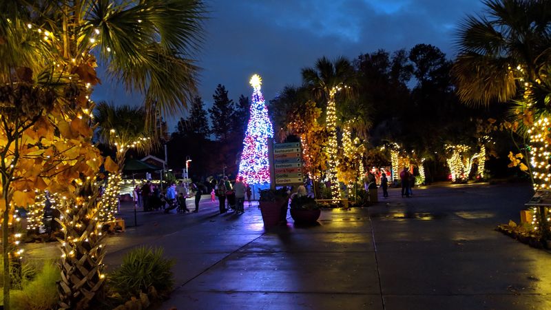 Spooky Nights And Twinkling Lights