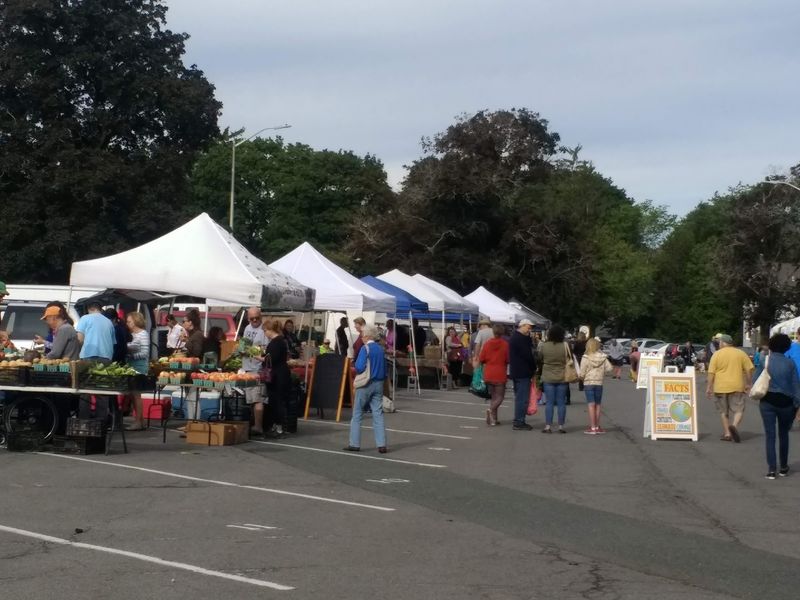 Delmar Farmers Market - Delmar