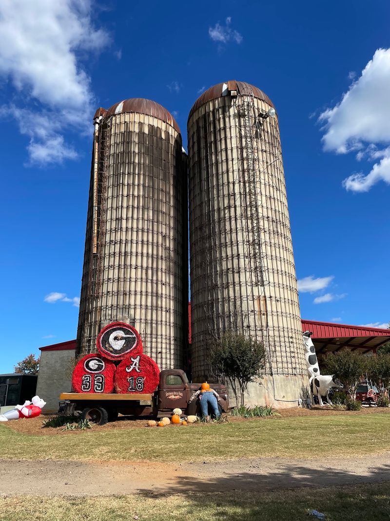 Christmas Trees And Hayrides When Winter Arrives