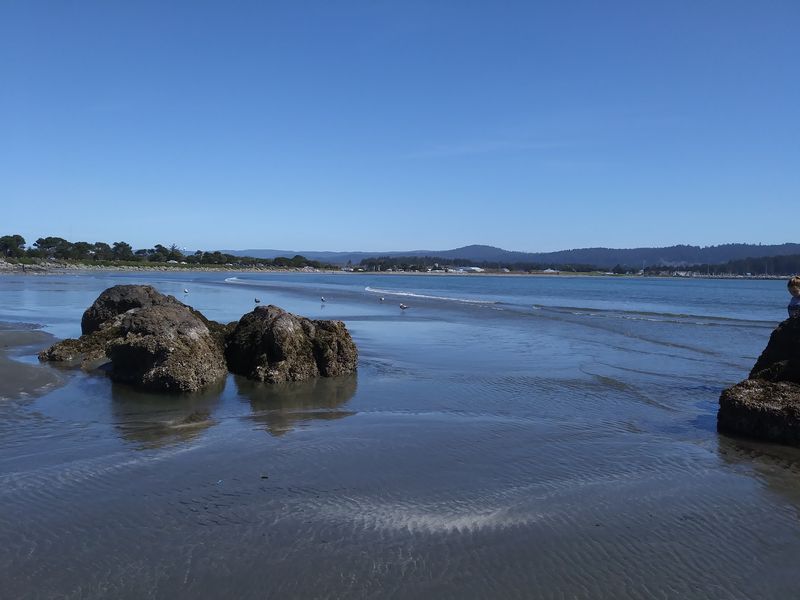 Tide Pools, Bluffs, And Beaches Galore