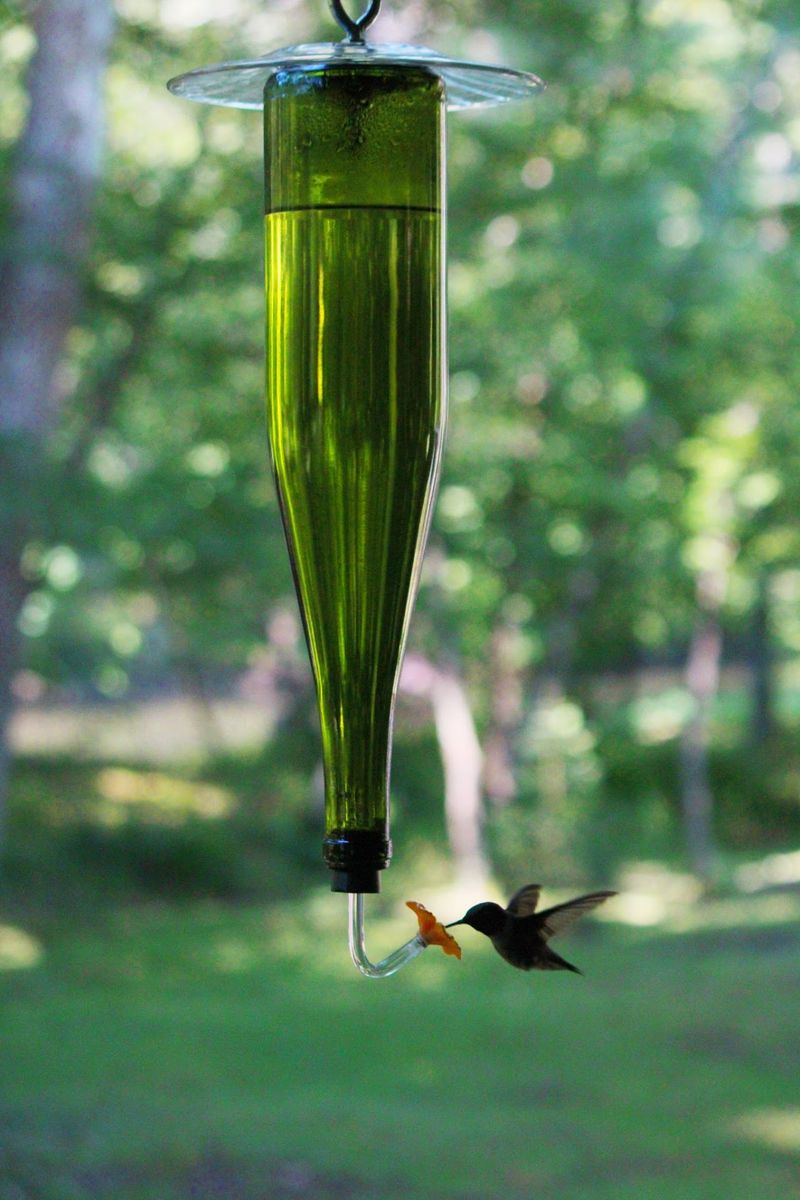 Local Flora And Fauna Unique To Pennsylvania