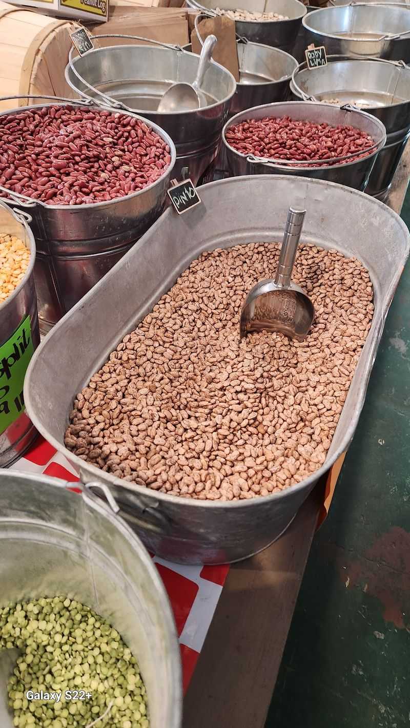 Bushels Of Beans Built For Serious Canners