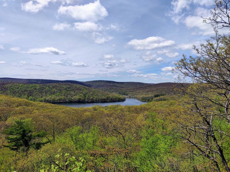 Two Hundred Miles Of Trails