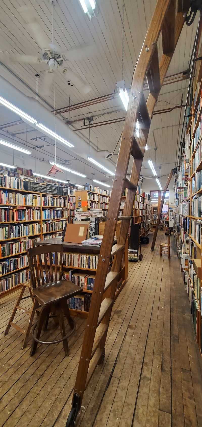 Friendly Faces Who Know Their Shelves By Heart
