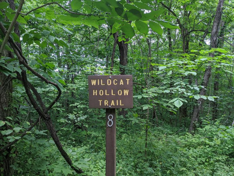 Wildcat Hollow Hiking Trail - Wayne National Forest