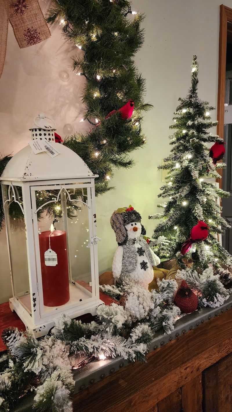 Holiday Trolleys And Seasonal Traditions