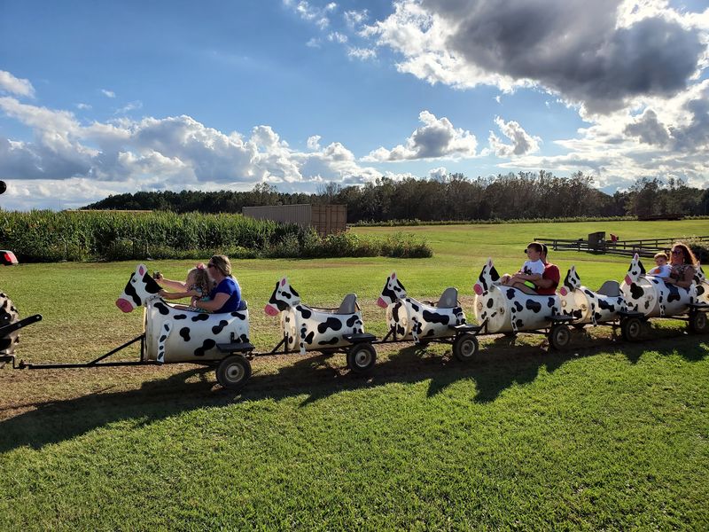 Hayrides That Earn Their Bumps