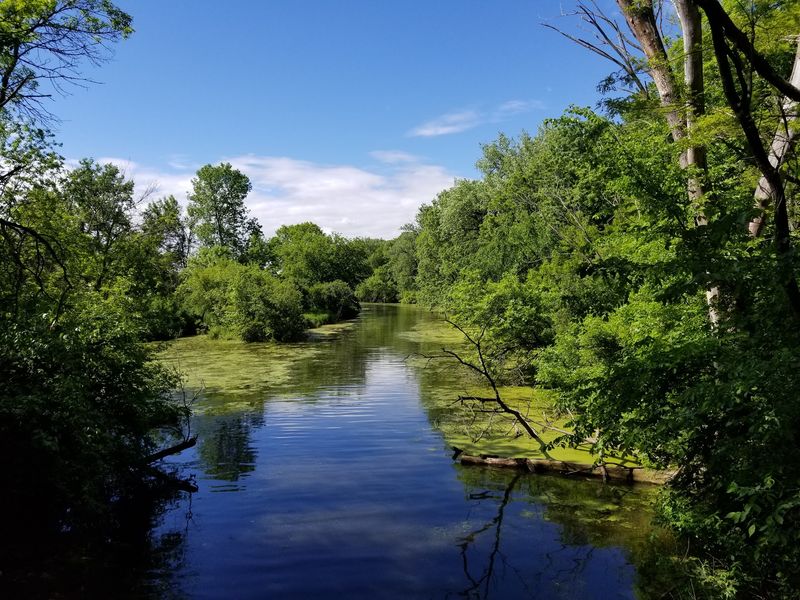 Walking The Interpretive Path Through Quiet Woods