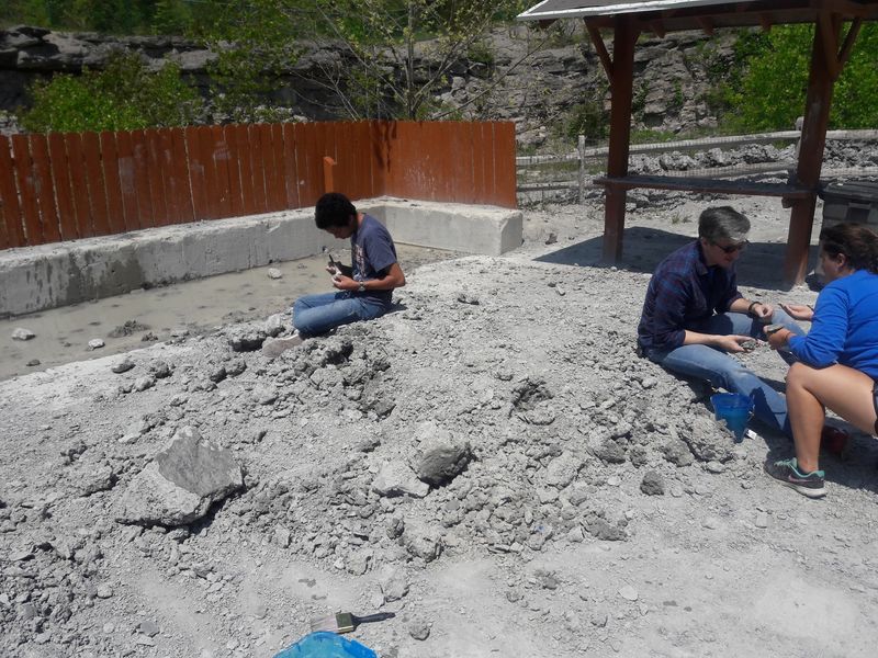 Volunteers Who Know Every Rock in the Pile