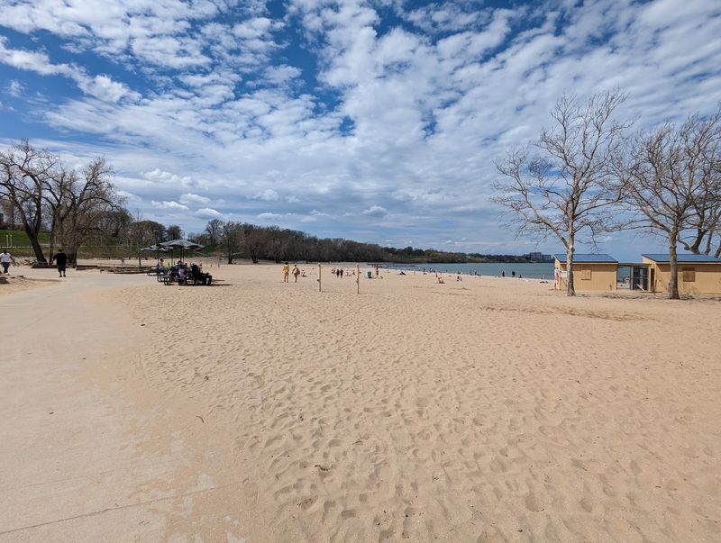 Volleyball Courts And Open Grass For Everyone Else
