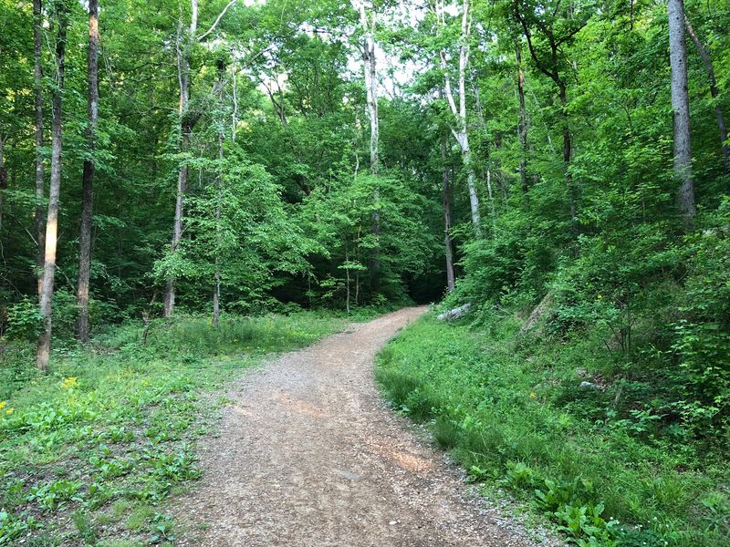White Oak Mountain Trails, Collegedale