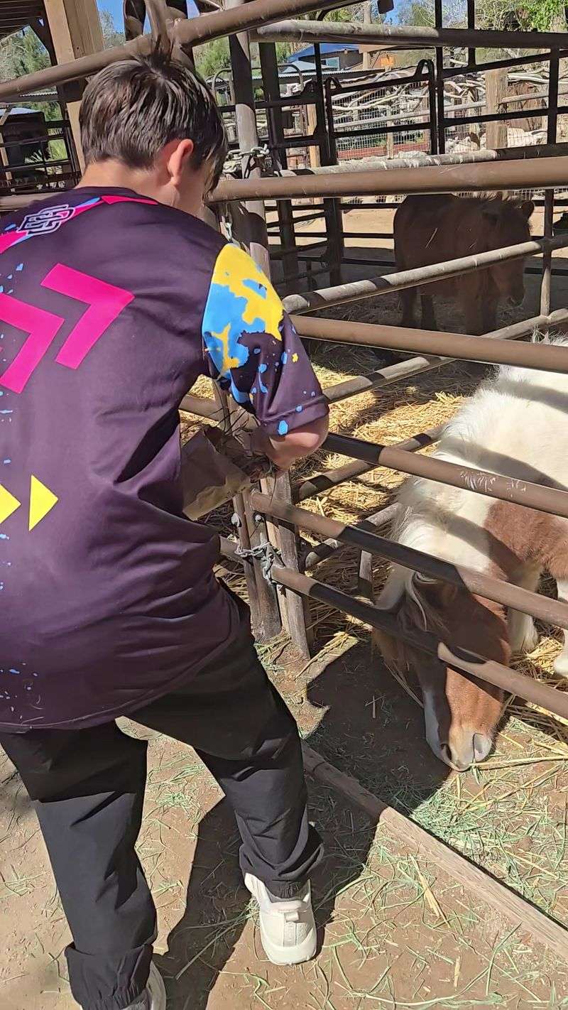 The Quiet Appeal For Grandparents And Grandkids