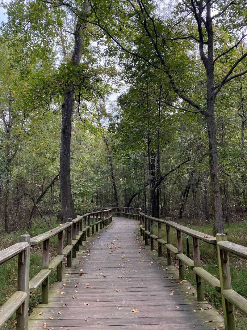 Peterson Lake Boardwalk At W.C. Johnson Park
