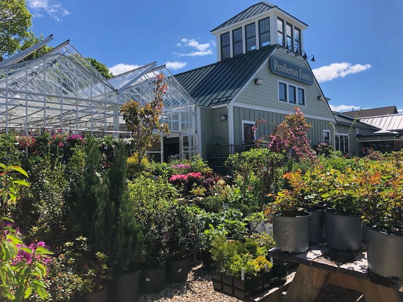 Greenhouse Adventure Right Outside