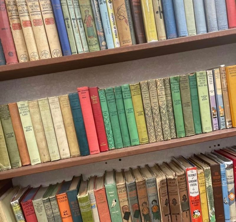 Rare Finds That Delight Curious Collectors