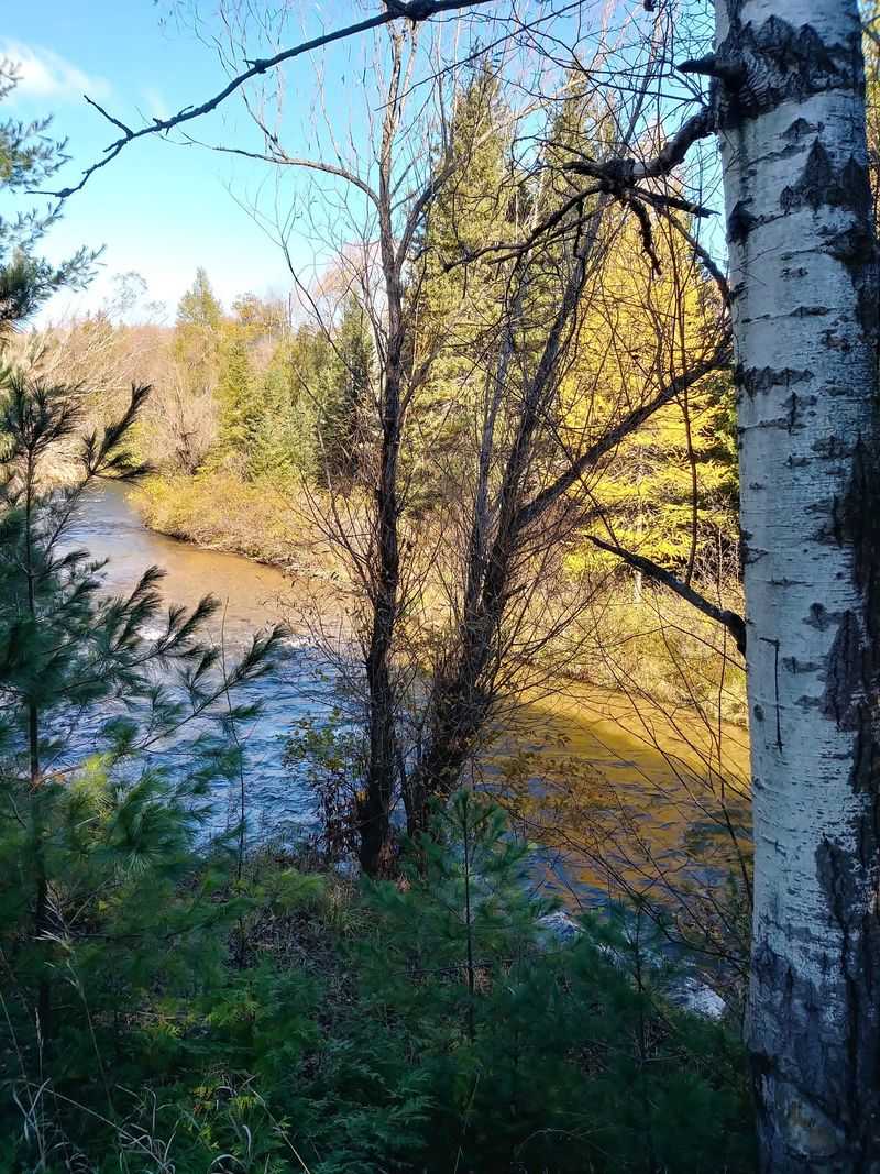 Haakwood State Forest Campground, Wolverine, MI