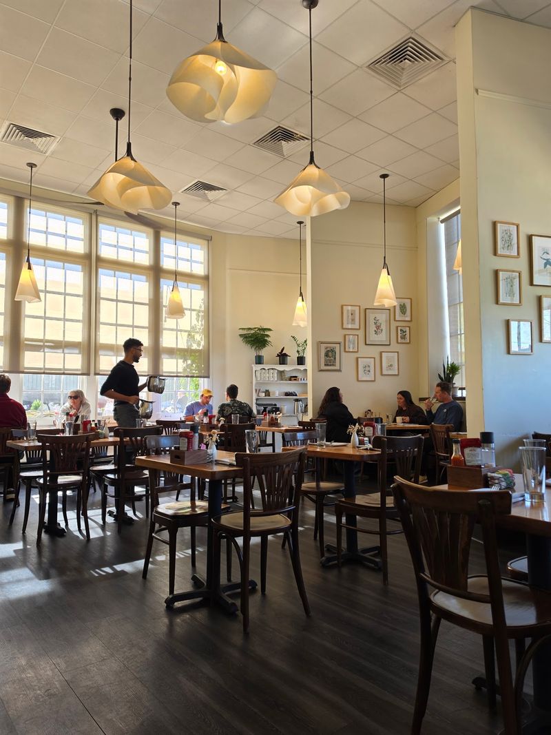 Why Central West End Regulars Keep Coming Back