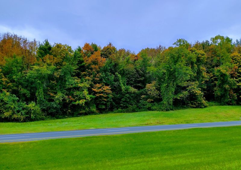 Millbury