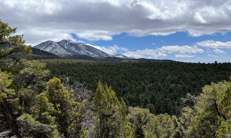 Ward Mountain Recreation Area Offers Solitude Near Ely