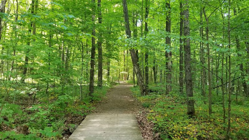 Trails Branch Out For Anyone Wanting More Miles