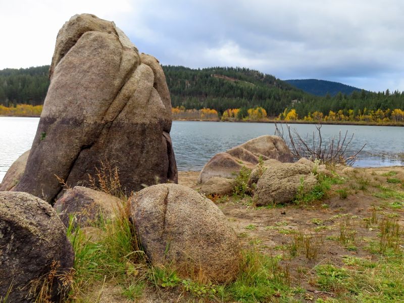 Timing The Peak Of Tahoe Gold