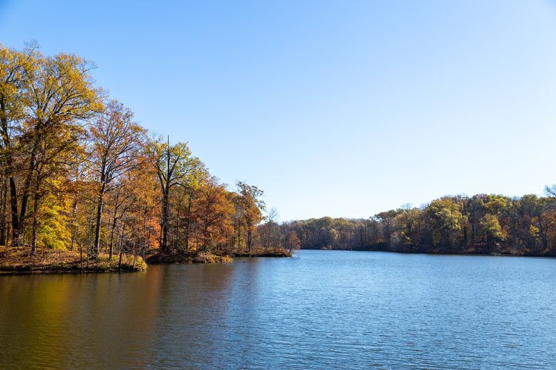 An Important Bird Area With Eagles Overhead