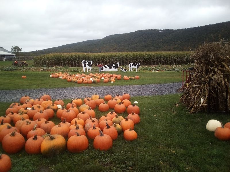Meet Smithome Farms Along Route 352
