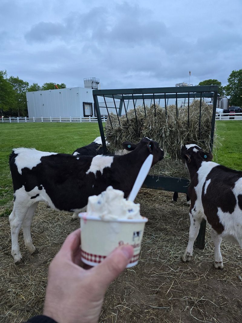 Meet The Herd Behind The Flavor