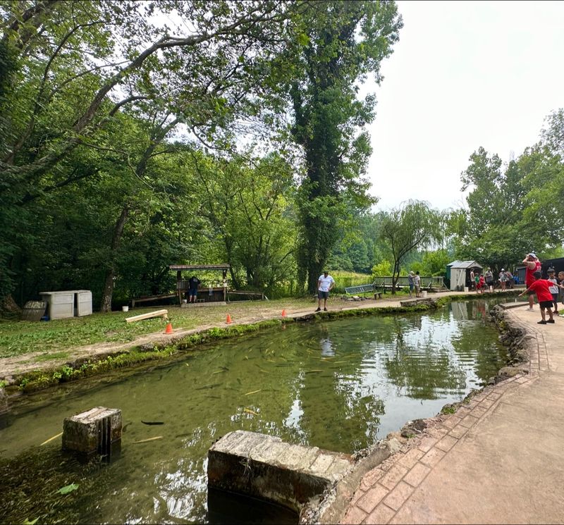 Fishing That Practically Does Itself