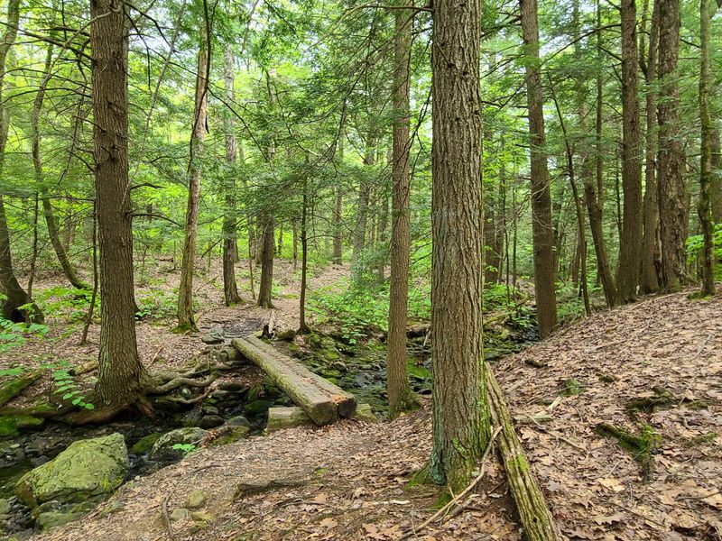 Mt Washington State Forest