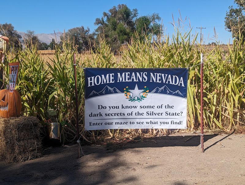 A Real Working Farm, Not A Parking Lot Pumpkin Display