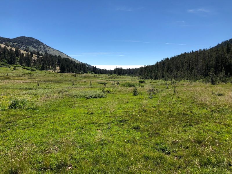 Planning A Stop Between Reno And The Lake