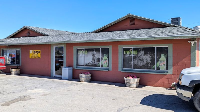 Country Sunflower, Yerington, NV