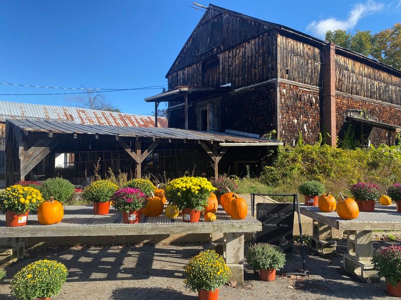Carver Hill Orchard