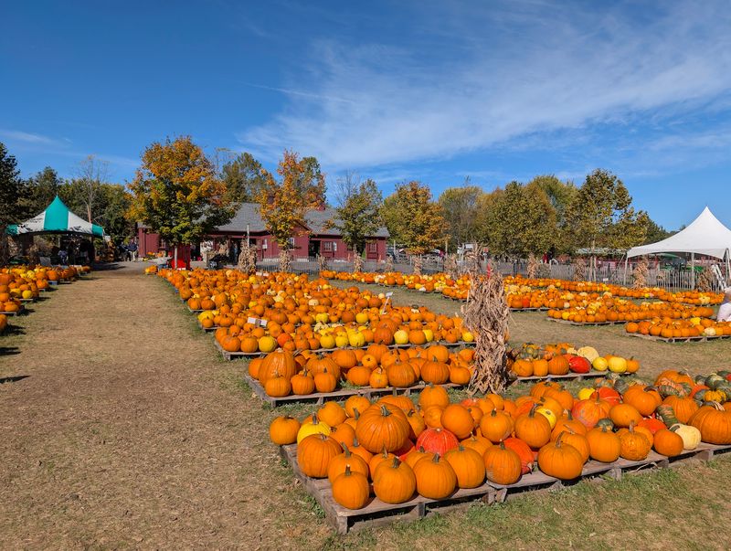 Tougas Family Farm